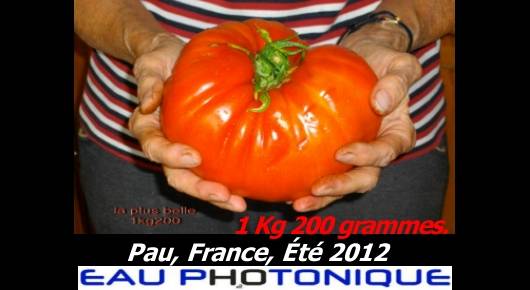 Article le jardin de Pierre Henri Lafon Puyo � Pau